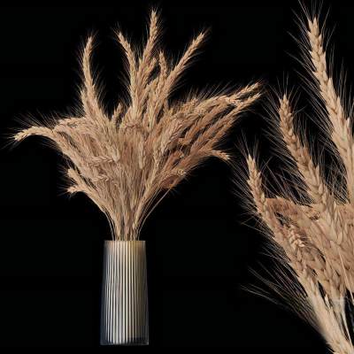 插在花瓶里的花